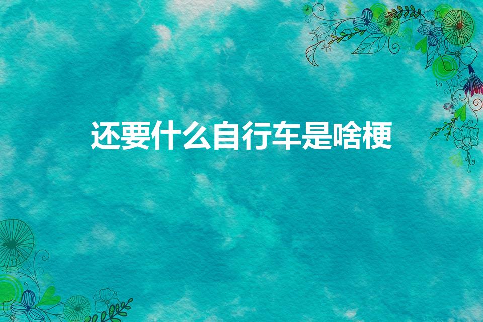 还要什么自行车是啥梗（要啥自行车是什么梗）