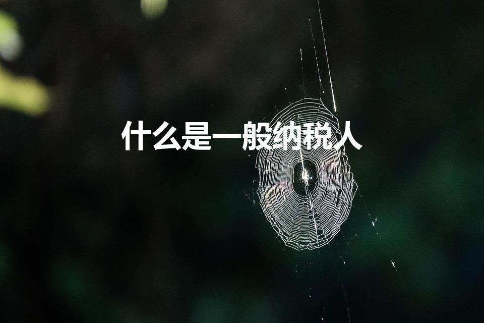 什么是一般纳税人（一般纳税人是指什么）