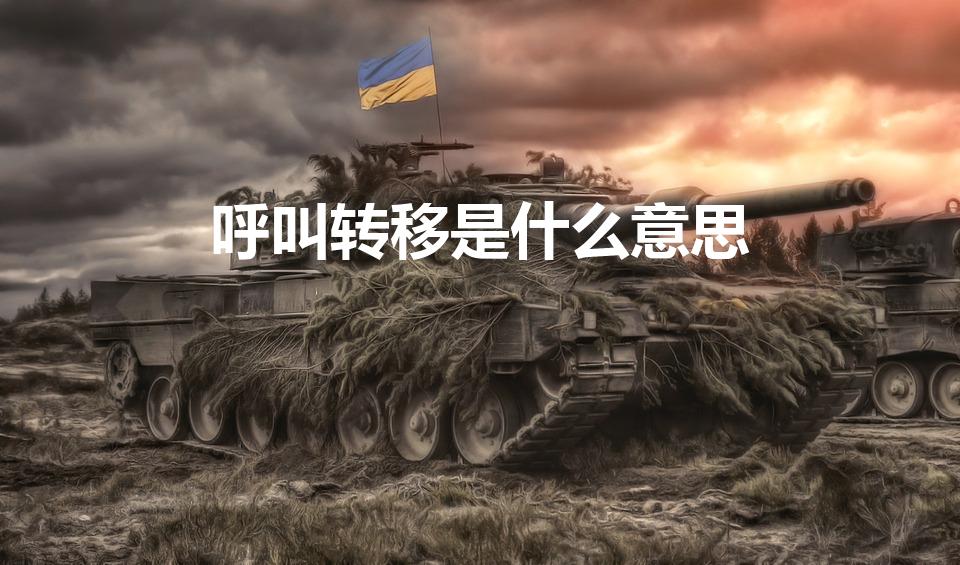 呼叫转移是什么意思（呼叫转移是什么）