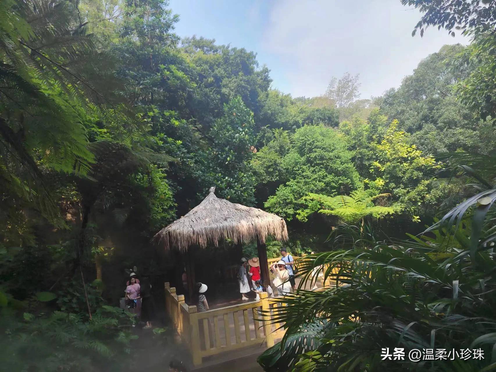 2f905a7ae22e4644b633c6d05dd5ce79noop.image_ 2f905a7ae22e4644b633c6d05dd5ce79noop.image_