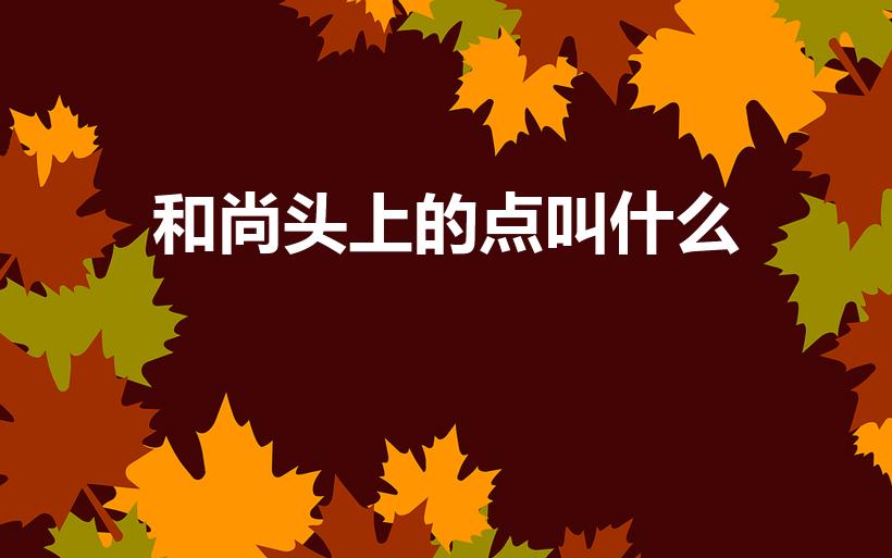 和尚头上的点叫什么（和尚头顶上的点代表什么意思）