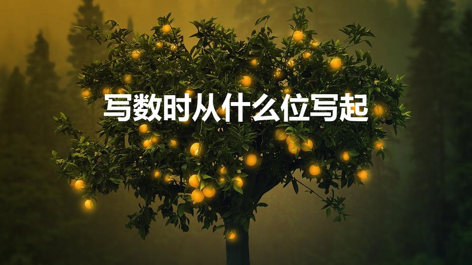 写数时从什么位写起（读数和写数时都从什么位开始）