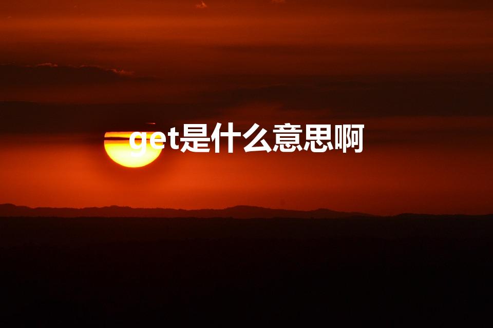 get是什么意思啊（get什么意思啊）