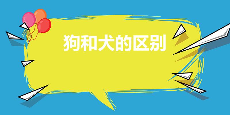 狗和犬的区别（狗和犬的区别分别是）