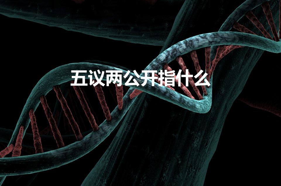 五议两公开指什么（五议一审两公开的主要内容）