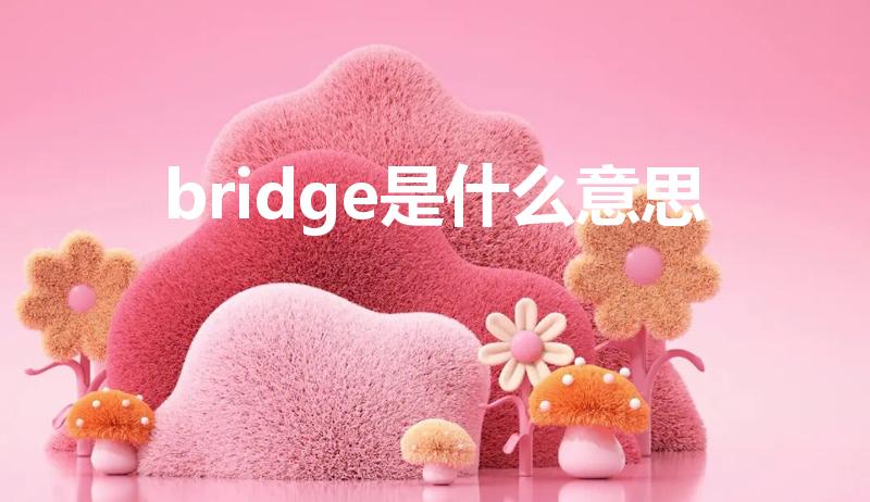 bridge是什么意思（bridge 是什么意思怎么读）