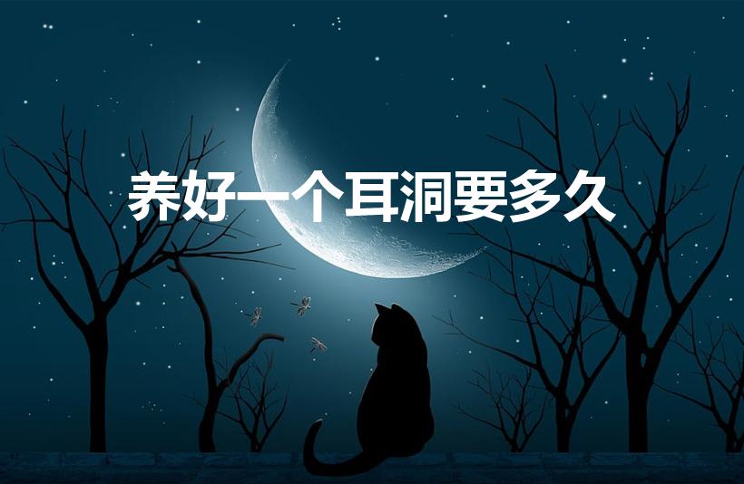 养好一个耳洞要多久（耳洞养好要多长时间）