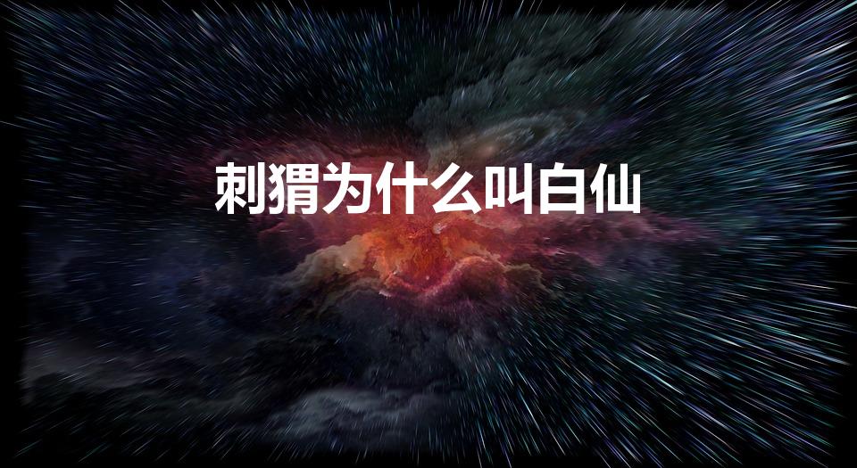 刺猬为什么叫白仙