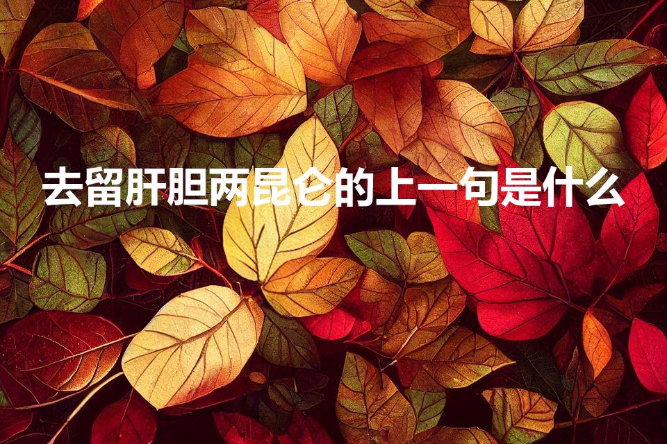 去留肝胆两昆仑的上一句是什么