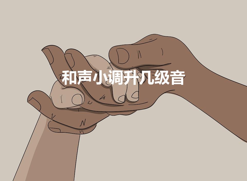 和声小调升几级音（和声大小调升降第几级）