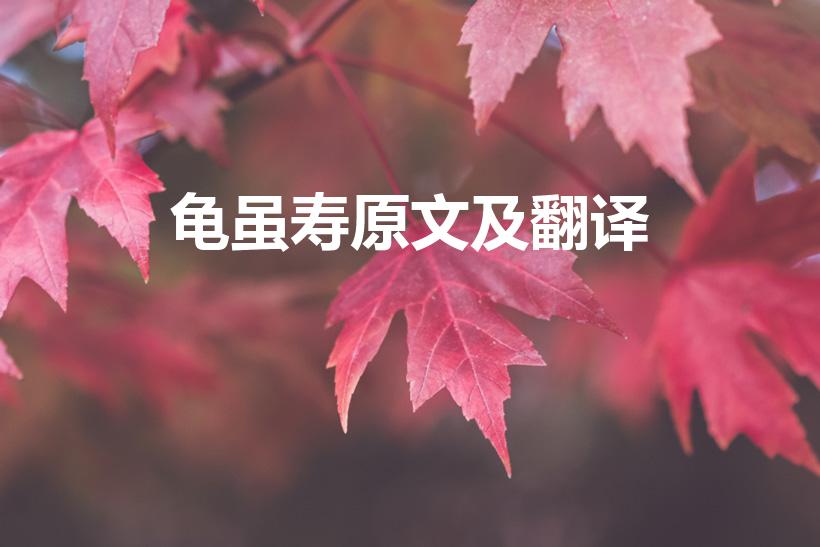 龟虽寿原文及翻译（曹操的《龟虽寿》全文以及翻译）