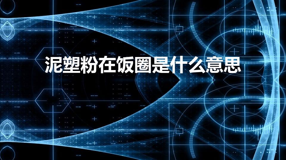 泥塑粉在饭圈是什么意思（泥塑粉是什么梗）