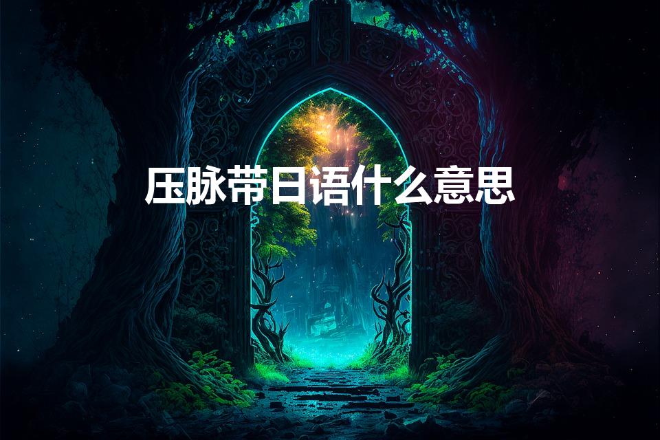 压脉带日语什么意思（日语“压脉带”是什么意思）