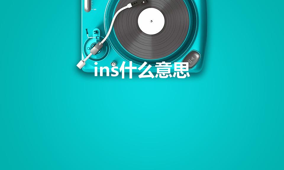ins什么意思（ins是什么意思 ins的意思）
