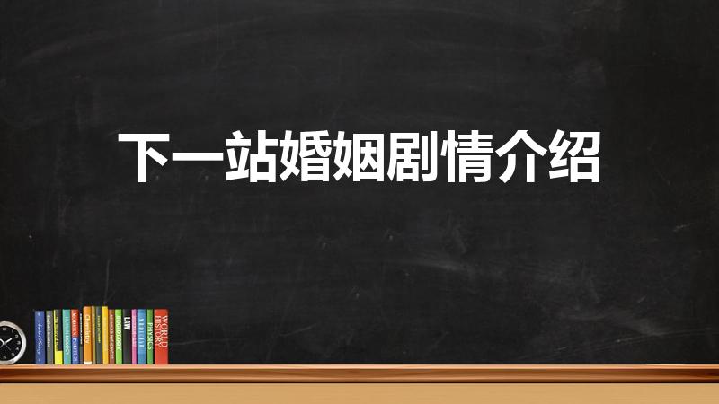 下一站婚姻剧情介绍（下一站婚姻讲了什么）