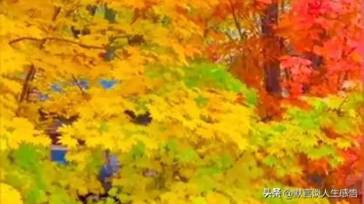 小学美术教学反思总结？美术大单元教学策略和方法