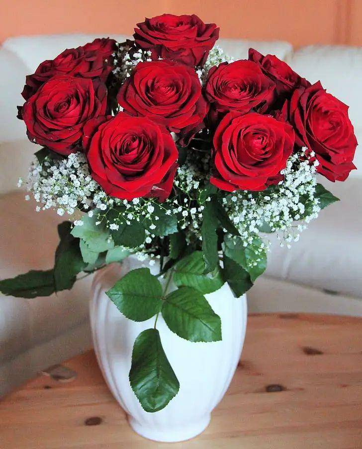 ee20aed7b95746ffbdbcf877770a61dfnoop.image_ ee20aed7b95746ffbdbcf877770a61dfnoop.image_