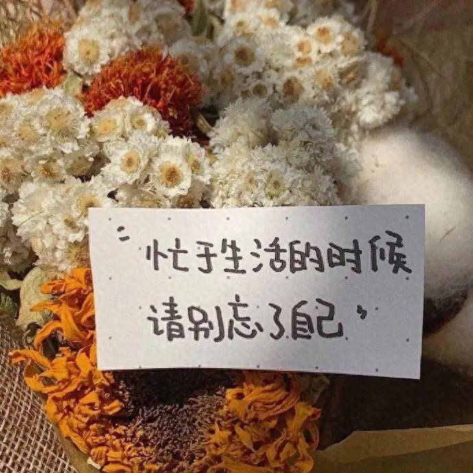 有深度有涵养的说说？句句充满智慧