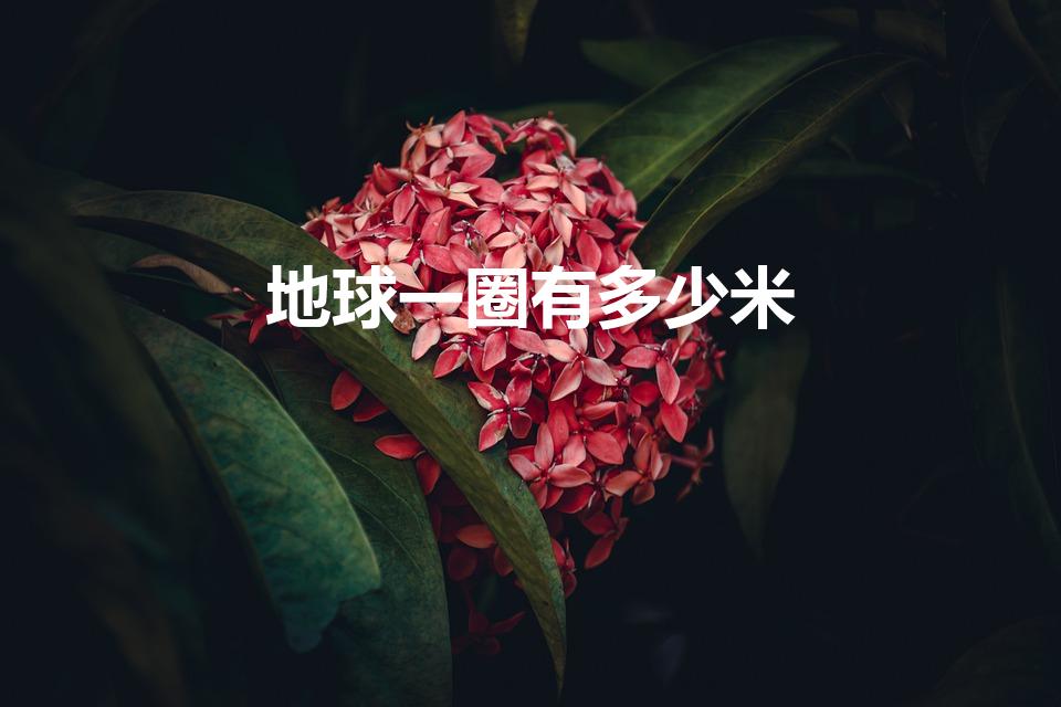 地球一圈有多少米（地球一圈是多少公里）
