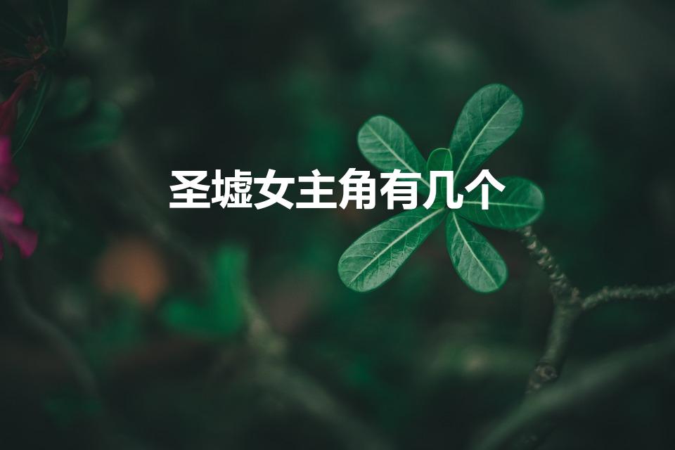 圣墟女主角有几个（圣墟的女主是谁 圣墟的女主有几个人）