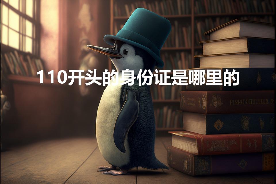 110开头的身份证是哪里的（110身份证号码是哪的）