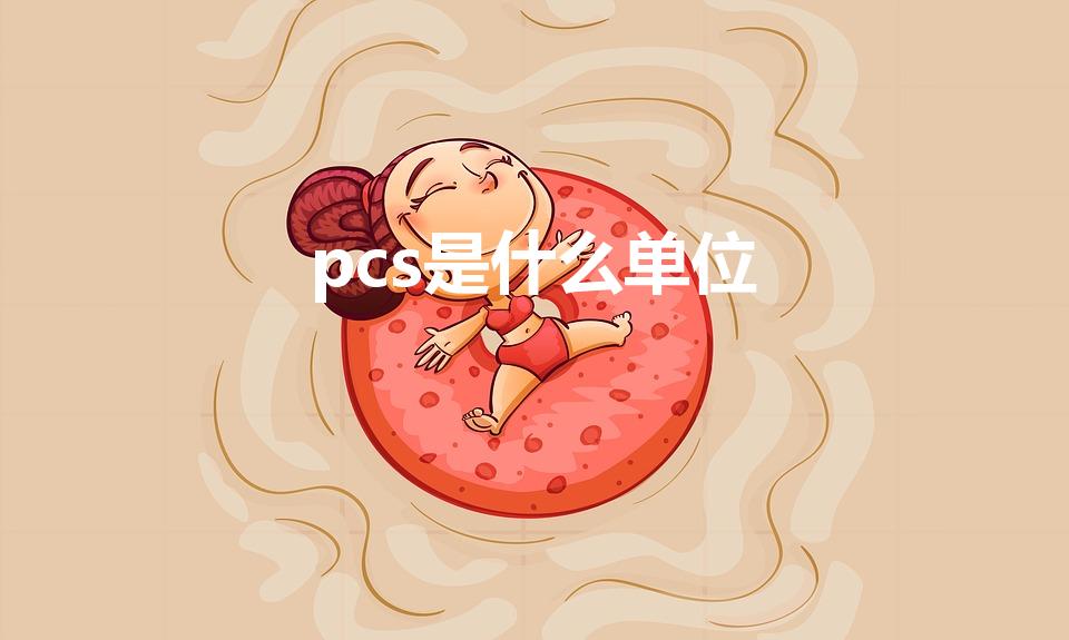 pcs是什么单位（pcs是什么意思单位）