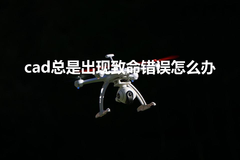 cad总是出现致命错误怎么办