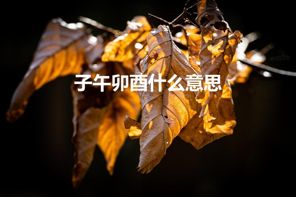 子午卯酉什么意思（子午卯酉 具体是什么意思）