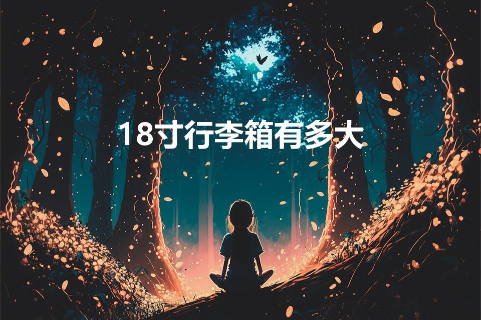 18寸行李箱有多大（18寸行李箱长宽高是多少）