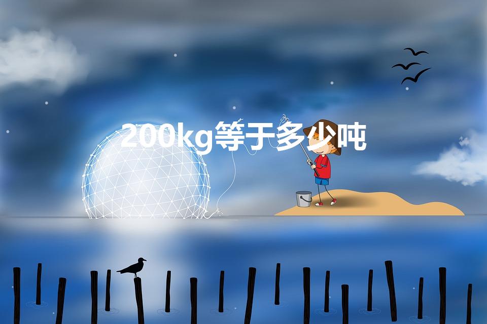 200kg等于多少吨（200kg=多少吨(分数哦)）