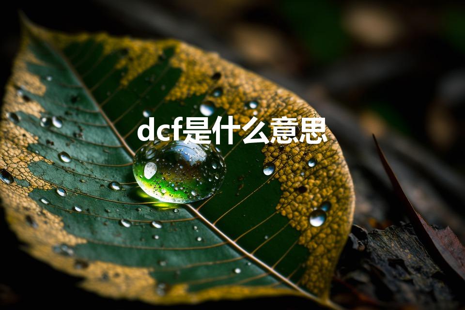 dcf是什么意思（DCF是什么意思）