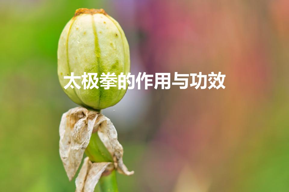太极拳的作用与功效（练太极拳对身体的四大好处是什么）