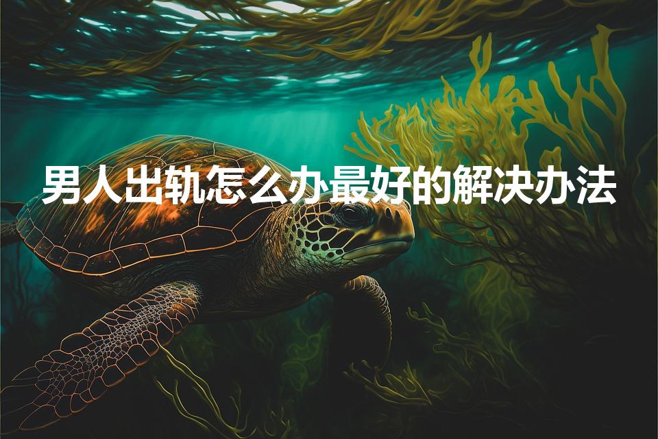 男人出轨怎么办最好的解决办法（老公出轨后最佳处理方式）