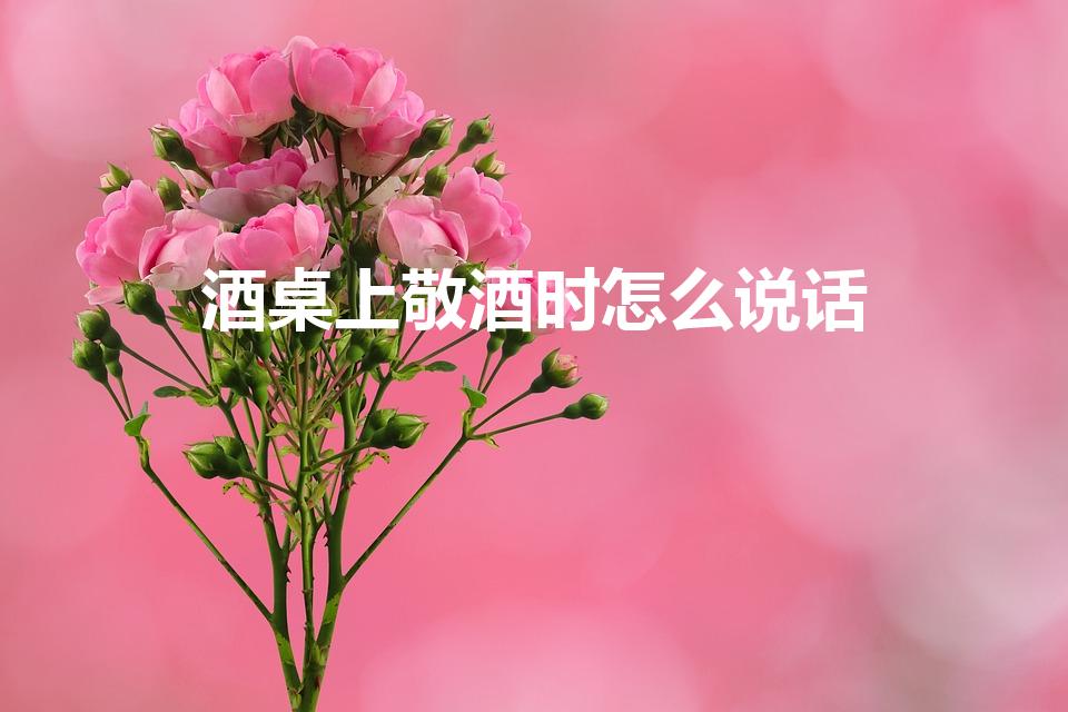 酒桌上敬酒时怎么说话（酒桌上敬酒时说什么话）