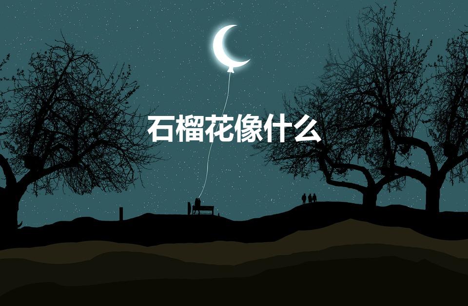 石榴花像什么（石榴花像什么东西）