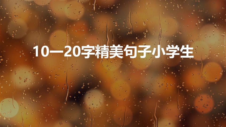 10一20字精美句子小学生（好句10~20字三年级）