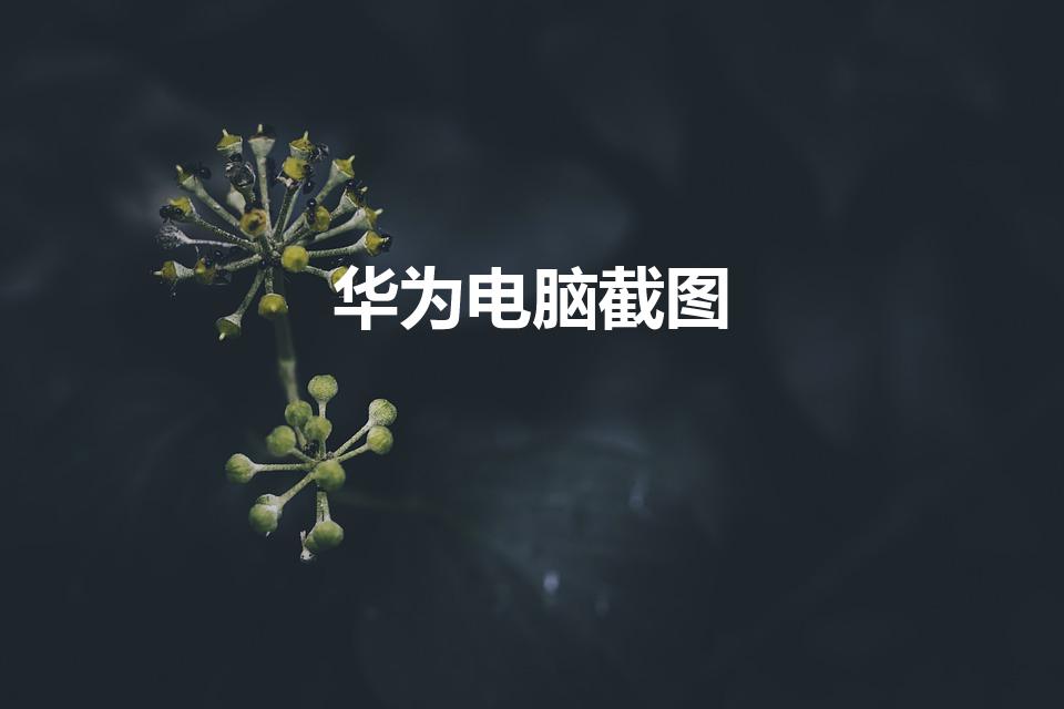 华为电脑截图（华为电脑怎么截屏）