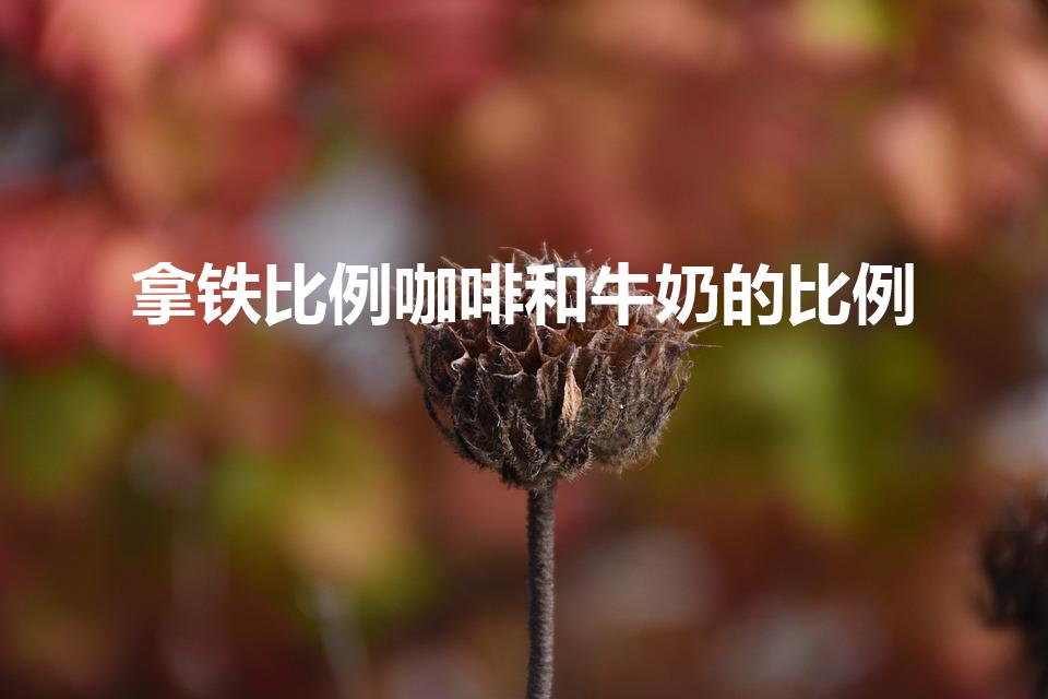 拿铁比例咖啡和牛奶的比例（拿铁咖啡和牛奶的比例是什么）