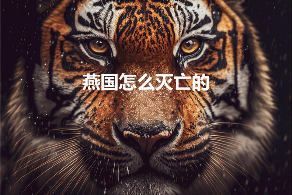 燕国怎么灭亡的