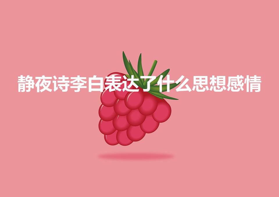 静夜诗李白表达了什么思想感情（静夜思表达了李白什么情感）