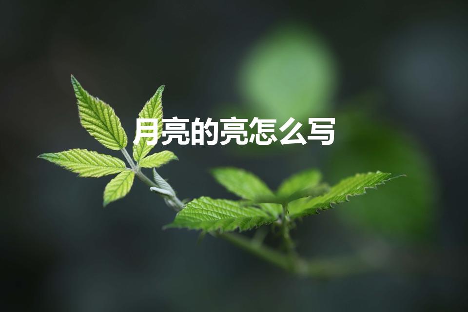 月亮的亮怎么写（亮的笔顺怎么写）