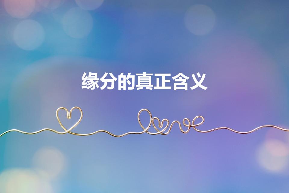 缘分的真正含义（缘分的真正含义,缘分的含义）