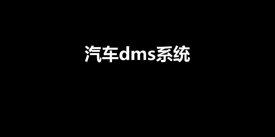 汽车dms系统（汽车dms是什么意思）