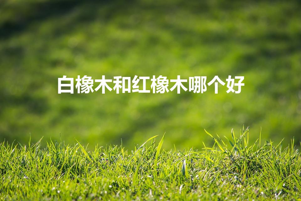 白橡木和红橡木哪个好（红橡木和白橡木哪个好）