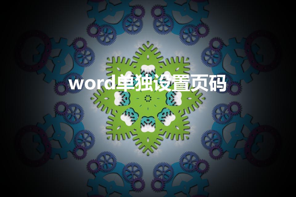 word单独设置页码（word怎么设置单独页码）