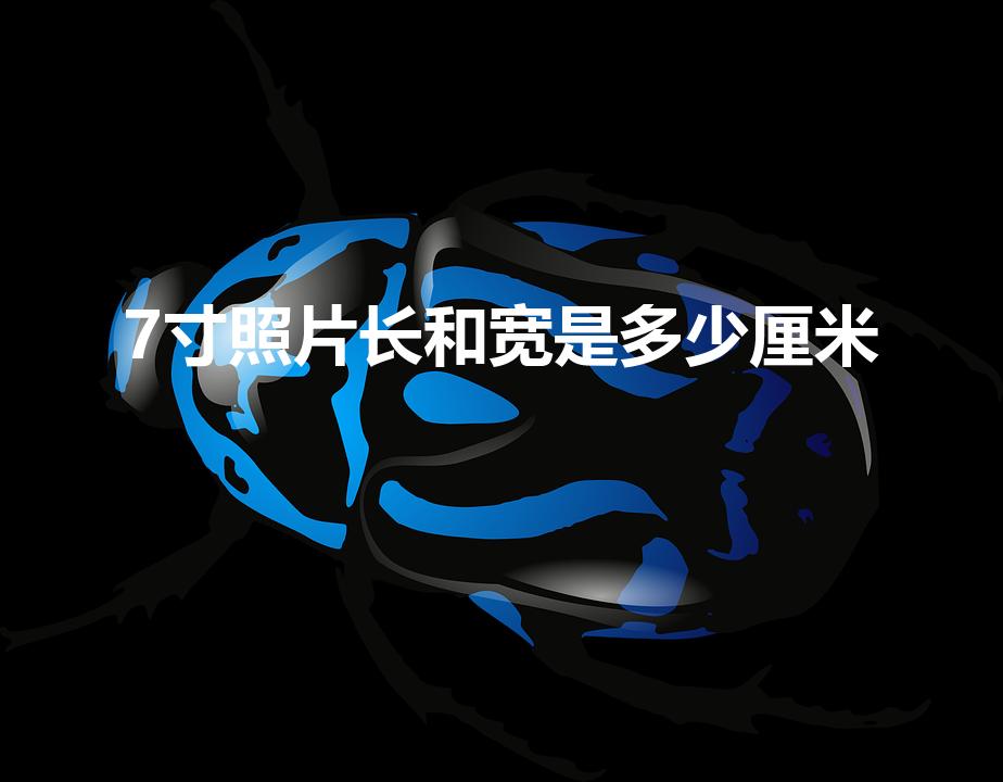 7寸照片长和宽是多少厘米（七寸照片尺寸多少厘米）