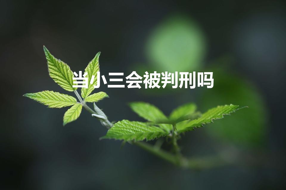 当小三会被判刑吗（小三可以判刑吗）