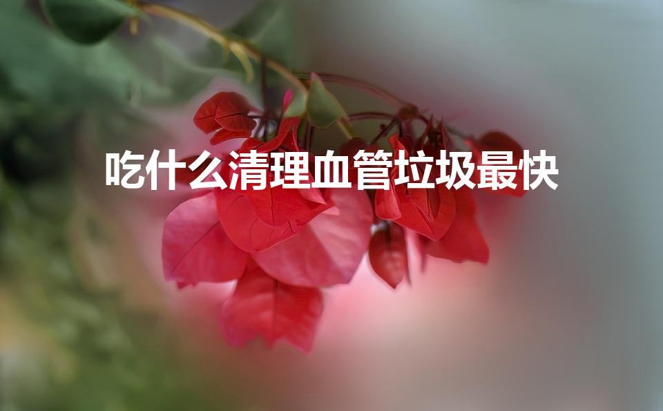 吃什么清理血管垃圾最快（吃什么能清理血管垃圾）