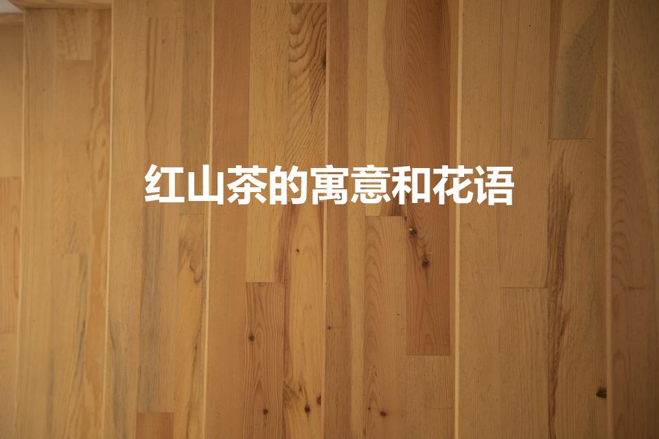 红山茶的寓意和花语（红山茶的花语）