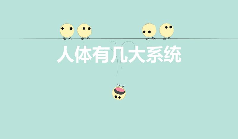 人体有几大系统（人体有哪八大系统）
